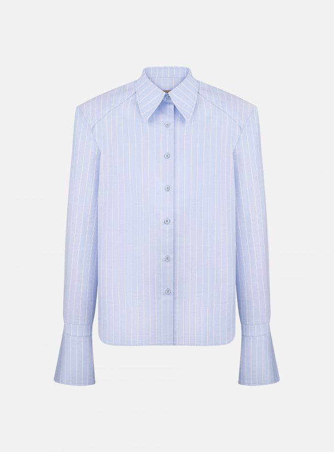 Сорочка Bazhane Stirdy shirt блакитний у смужку