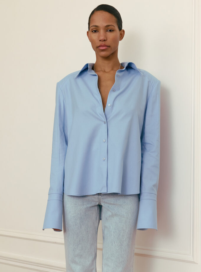 Сорочка Bazhane Stirdy shirt блакитний