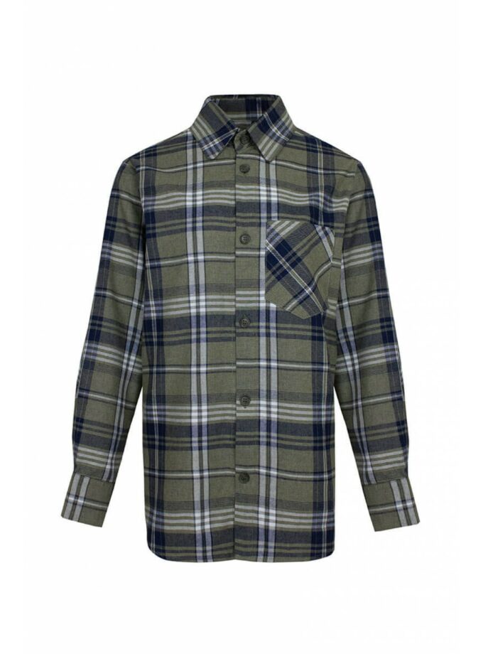 Сорочка Aisenberg denim в клітинку зелена